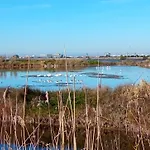 Aveiro, Ria E Fado