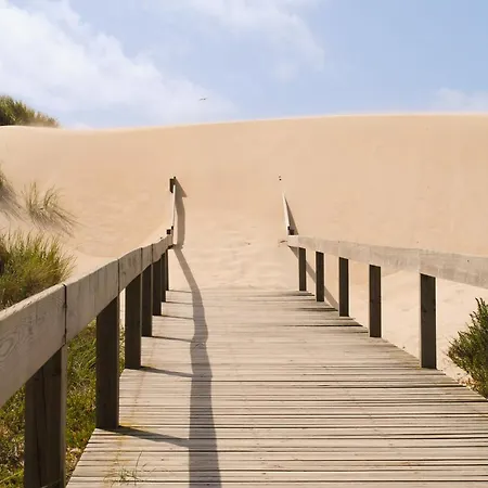 Aveiro, Ria E Fado Авейру