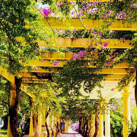 Апартаменты Aveiro, Ria E Fado *