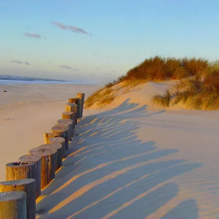 Aveiro, Ria E Fado Авейру