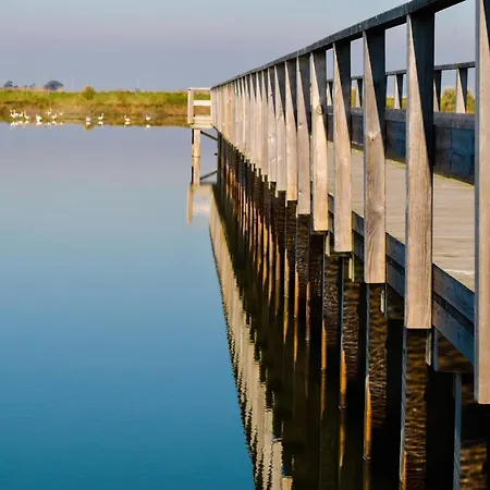 Aveiro, Ria E Fado Авейру