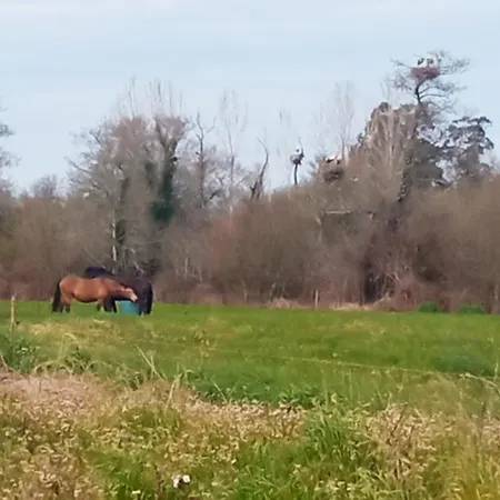 Апартаменты Aveiro, Ria E Fado Авейру