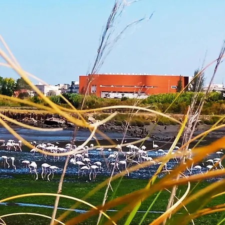 Апартаменты Aveiro, Ria E Fado Авейру