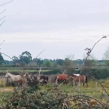 Aveiro, Ria E Fado * Авейру