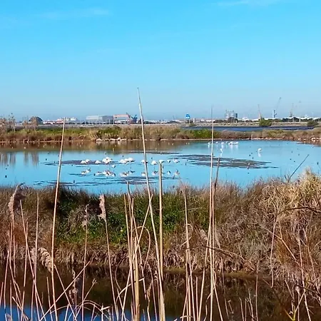 Aveiro, Ria E Fado
