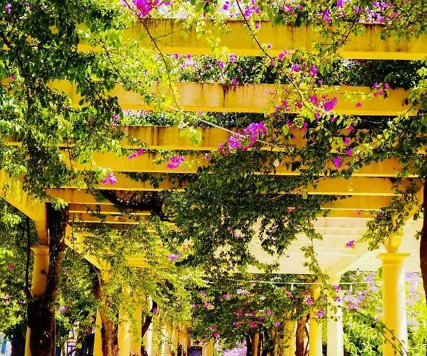 Apartment Aveiro, Ria E Fado *