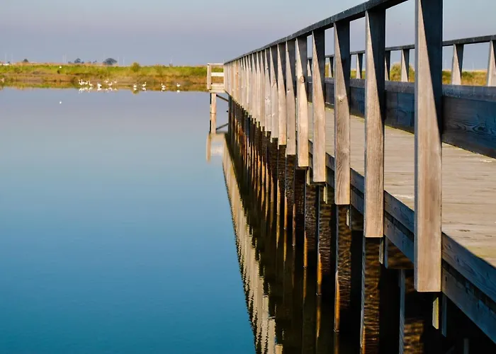Aveiro, Ria E Fado Aveiro
