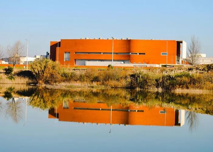 Aveiro, Ria E Fado Apartment *