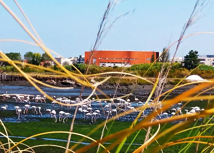 Apartment Aveiro, Ria E Fado Aveiro