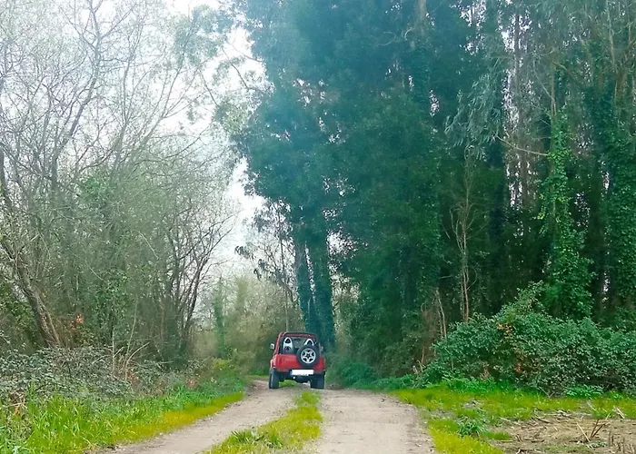 Aveiro, Ria E Fado *